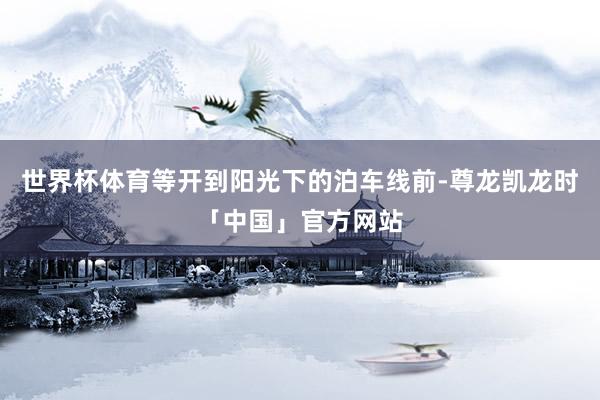 世界杯体育等开到阳光下的泊车线前-尊龙凯龙时「中国」官方网站