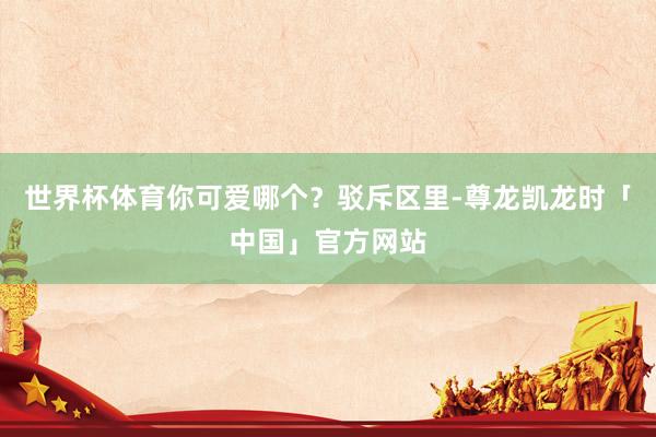 世界杯体育你可爱哪个？驳斥区里-尊龙凯龙时「中国」官方网站