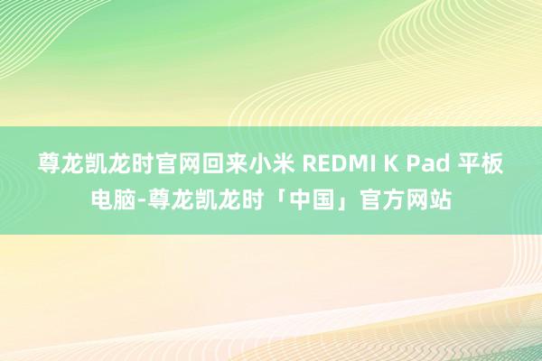 尊龙凯龙时官网回来小米 REDMI K Pad 平板电脑-尊龙凯龙时「中国」官方网站
