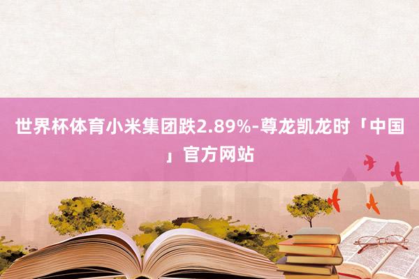 世界杯体育小米集团跌2.89%-尊龙凯龙时「中国」官方网站