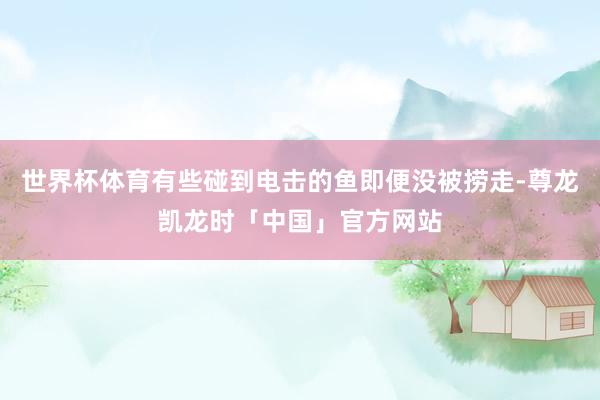 世界杯体育有些碰到电击的鱼即便没被捞走-尊龙凯龙时「中国」官方网站